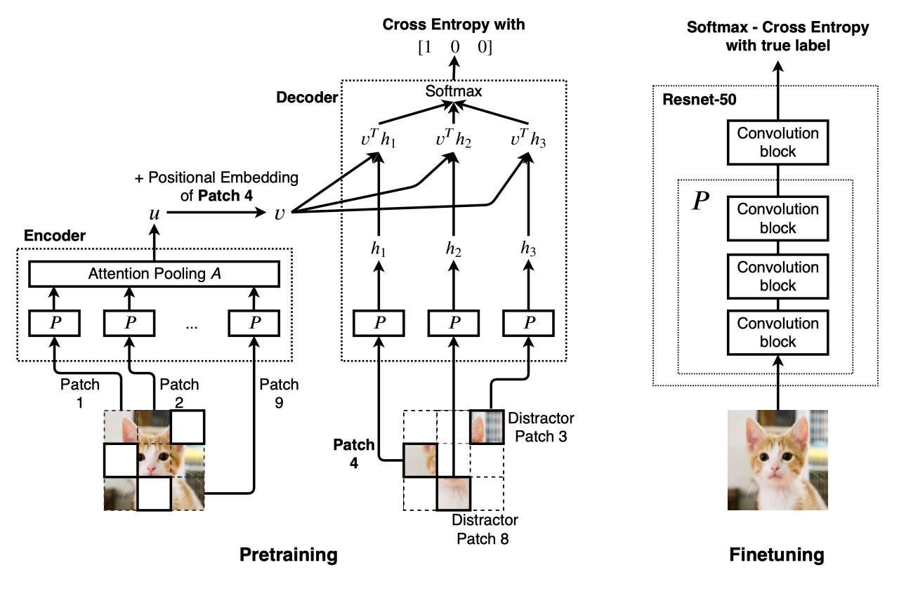 overview of selfie